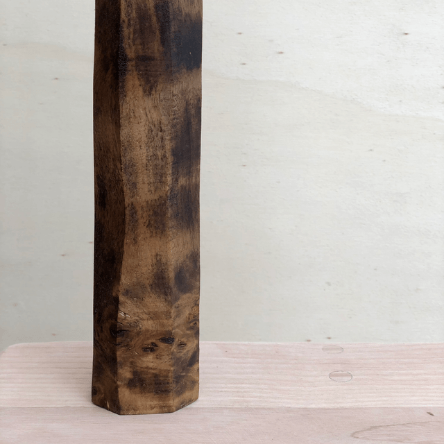Soliflore 03